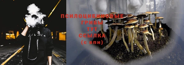mdpv Аркадак